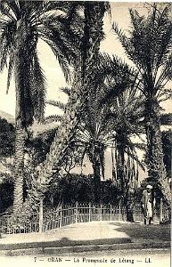 PL a- 032- Promenade de Letang A